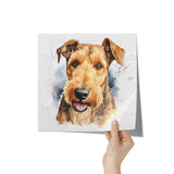 Airedale Terrier 12x12 Poster