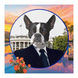 Buddy Boston Terrier 12x12 Poster