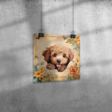 Butter Poodle Poster