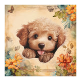 Butter Poodle Poster