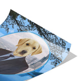 Louie Labrador Retriever Poster