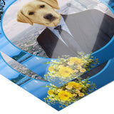 Louie Labrador Retriever Poster