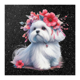 Snow White Maltese Poster 12x12