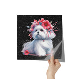 Snow White Maltese Poster 12x12