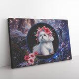 Snow White Maltese Canvas