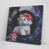 Snow White Maltese Canvas