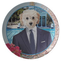 Tommy_Terrier_Flat_Mockup.png_15791989