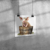 Vintage Pig 12x2 Poster