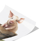 Vintage Pig 12x2 Poster