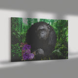 Benny Gorilla Canvas