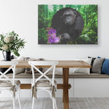 Benny Gorilla Canvas